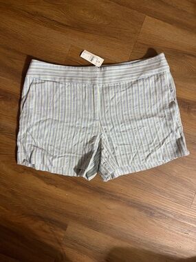 LOFT Blue and Cream Striped Women’s Shorts